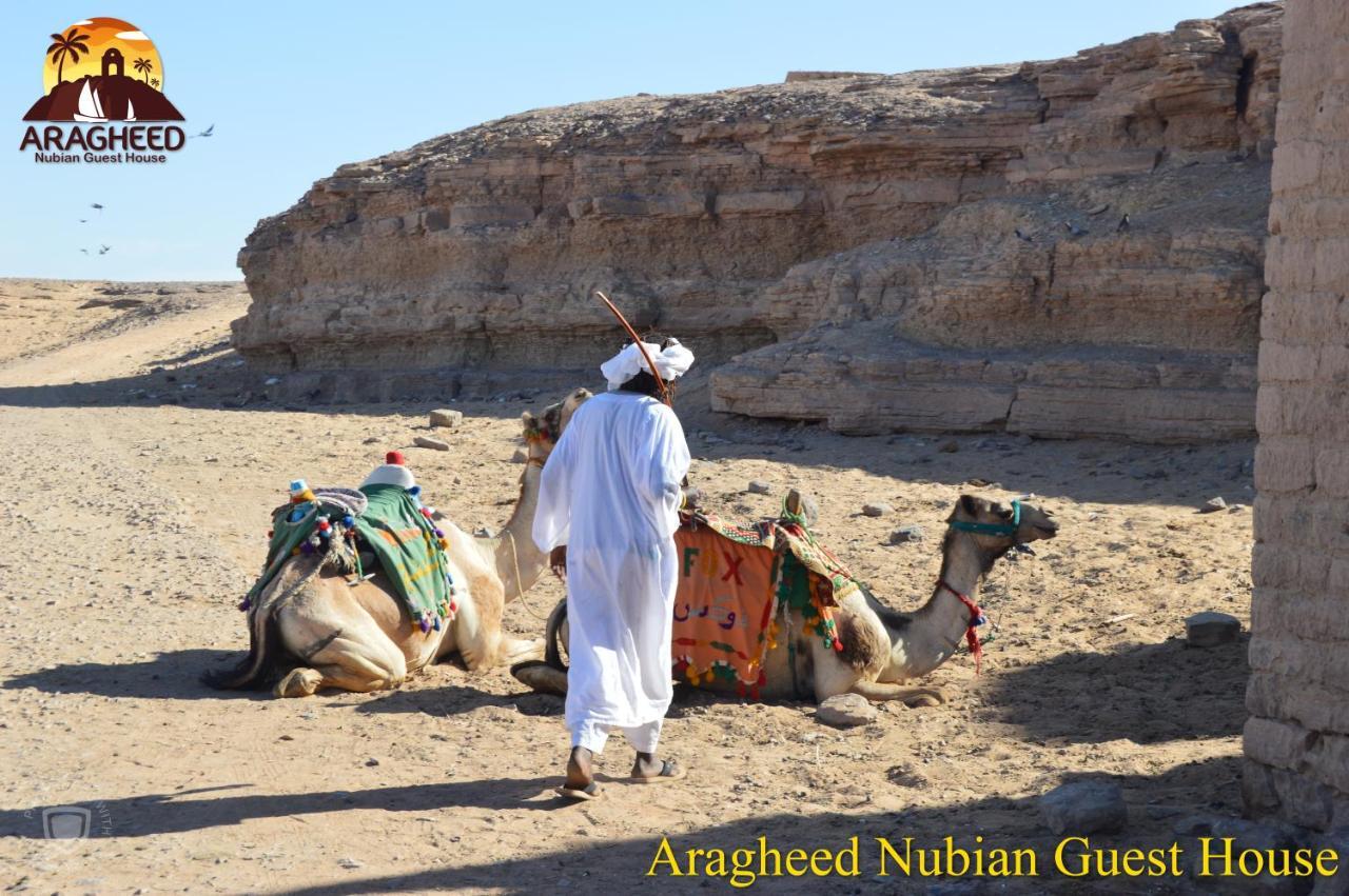 Nubian Kingdom Aragheed House Leilighet Aswan Eksteriør bilde